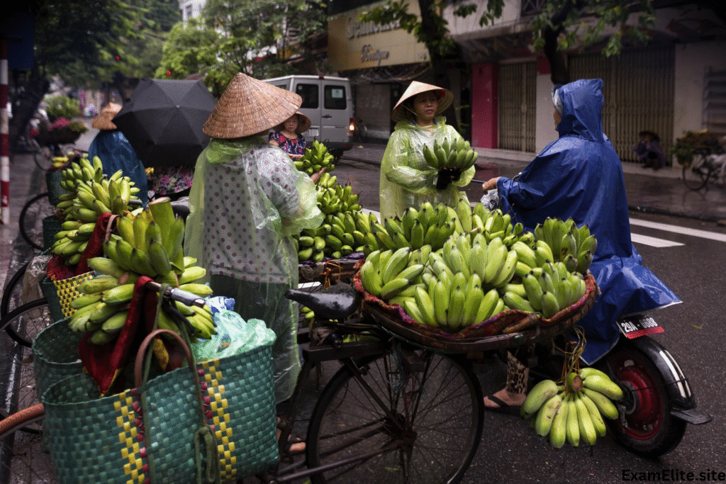 sat exam error hanoi